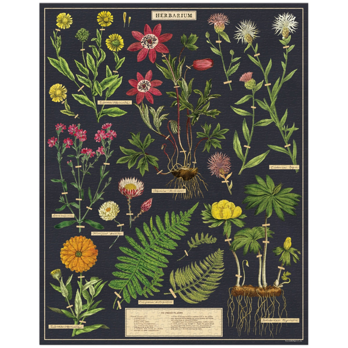 Puzzle Herbarium