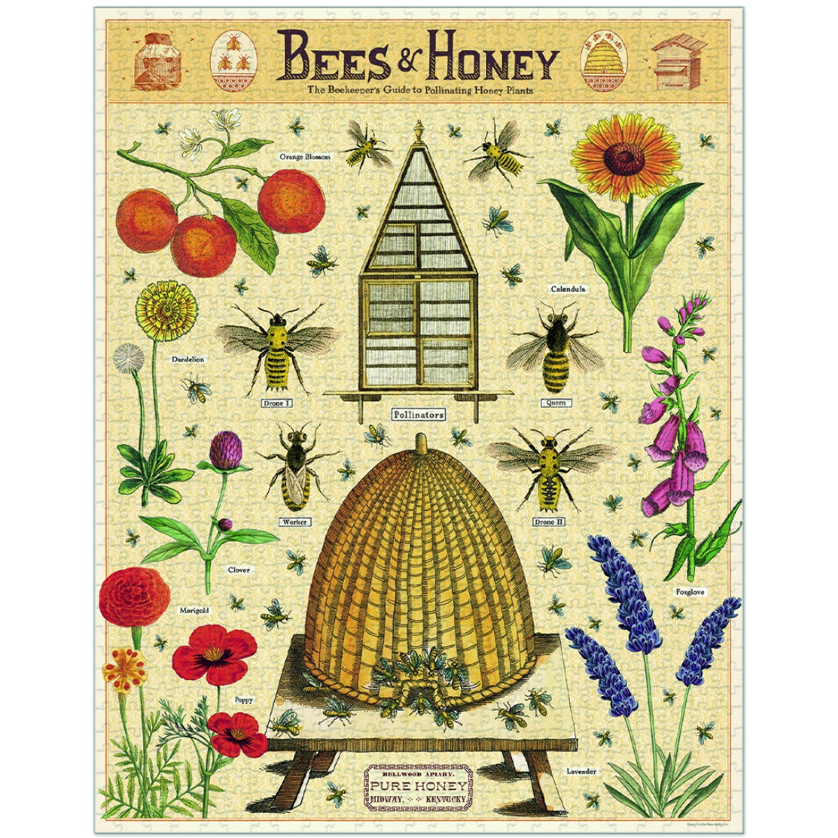 Puzzle Bees & Honey