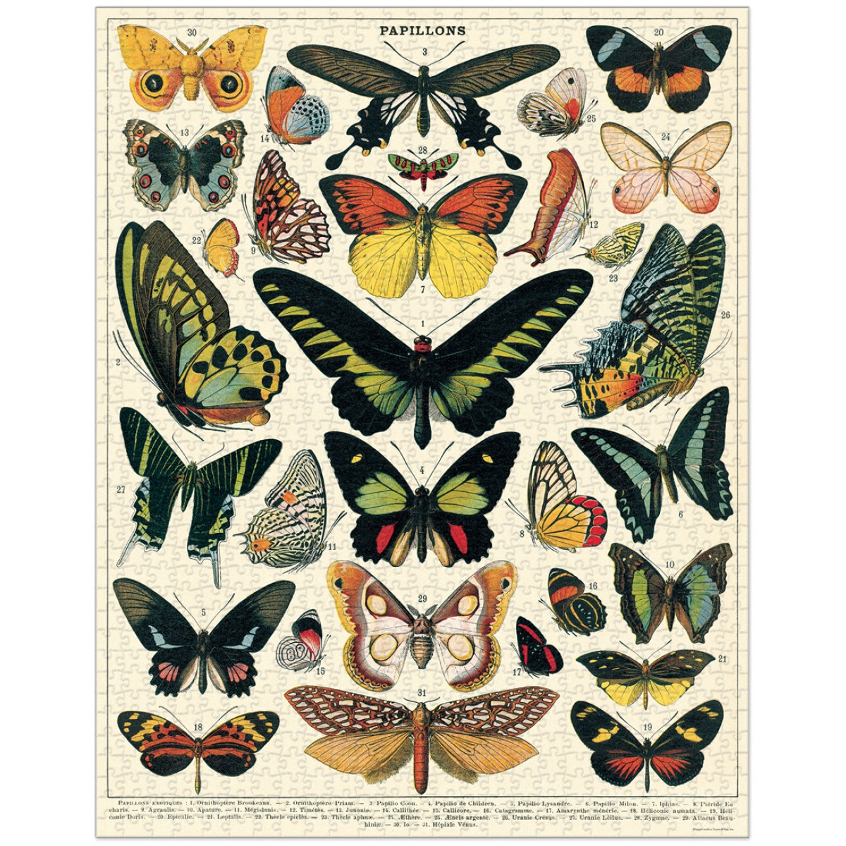 Puzzle Butterflies