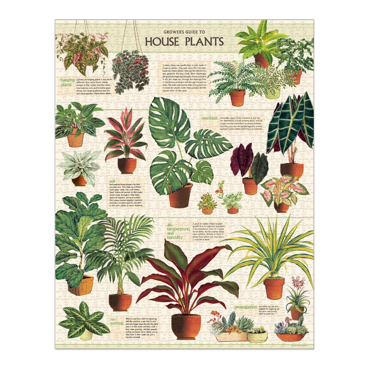 Puzzle House plants