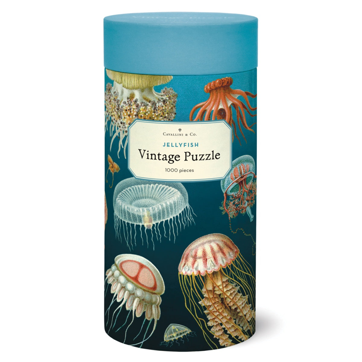 Puzzle Jellyfish