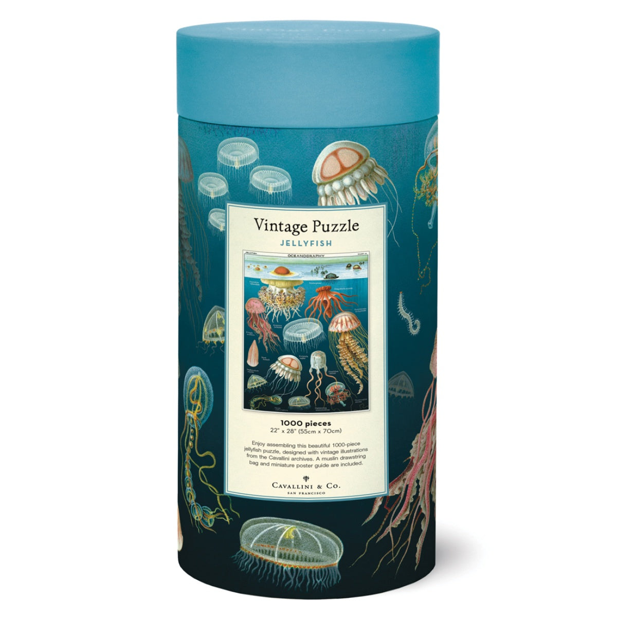 Puzzle Jellyfish