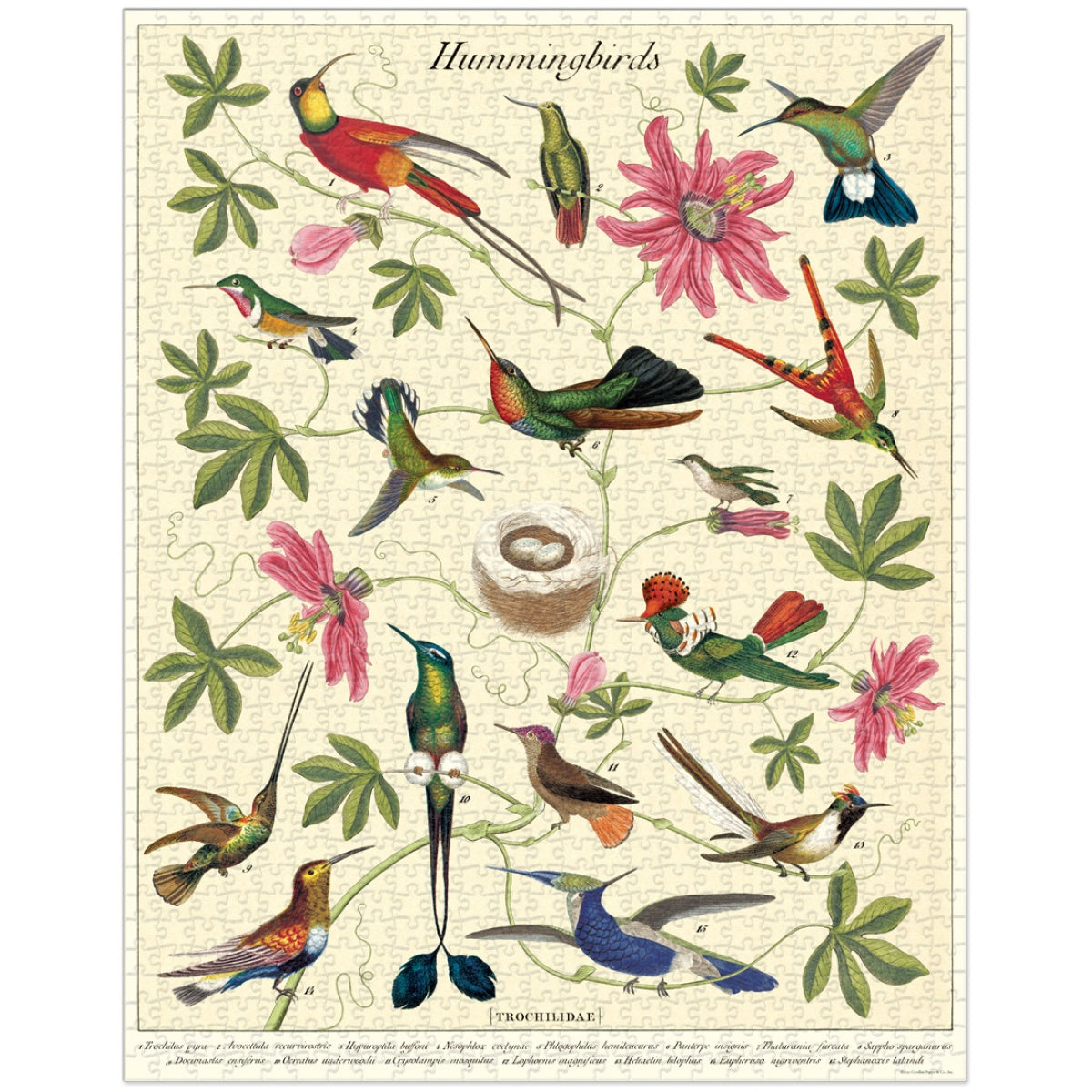 Puzzle Hummingbirds