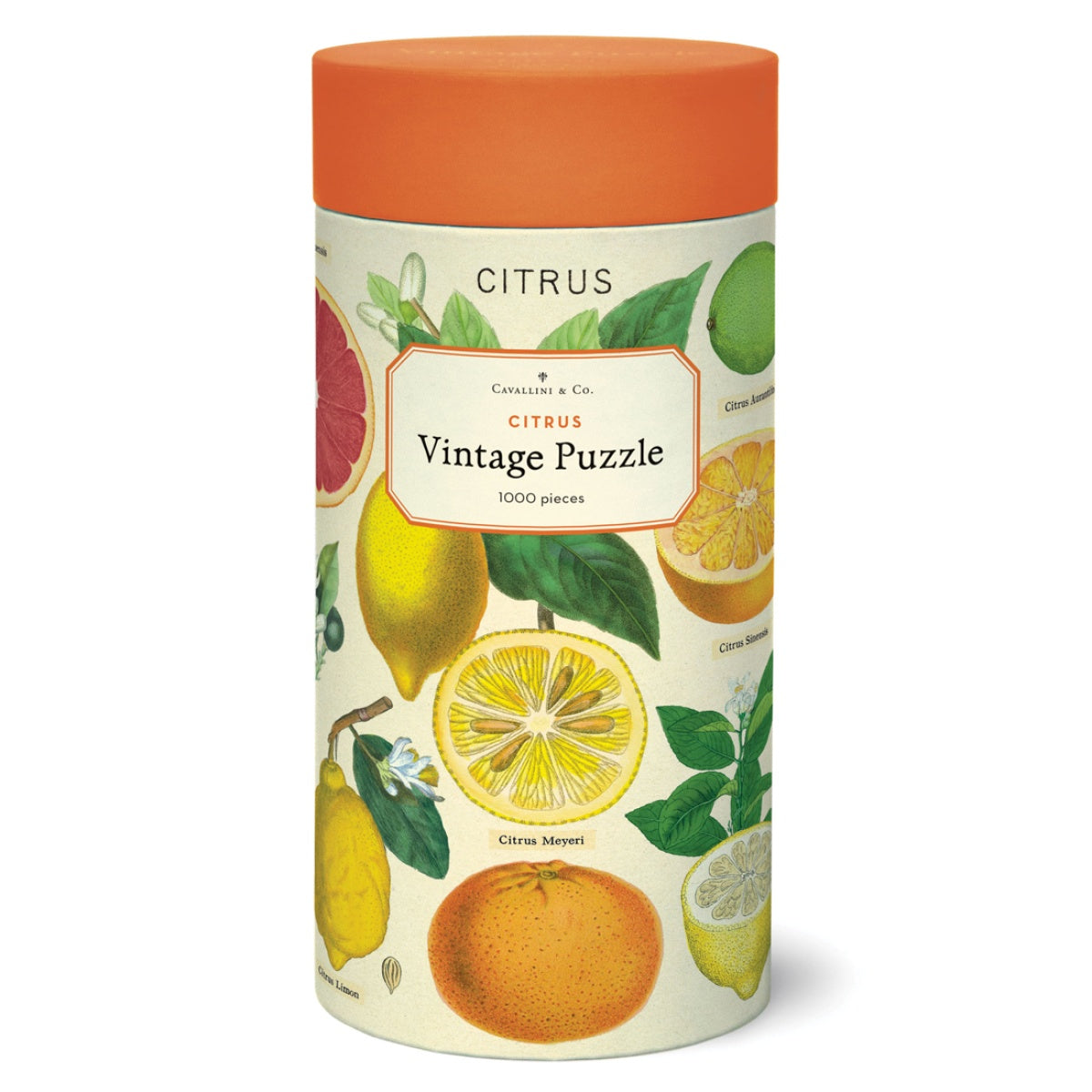 Puzzle Citrus
