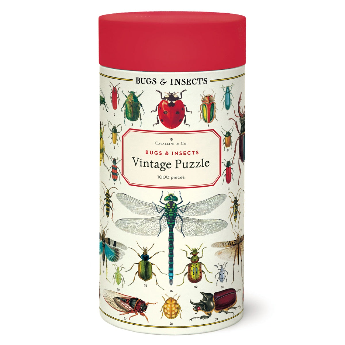Puzzle Bugs & Insects