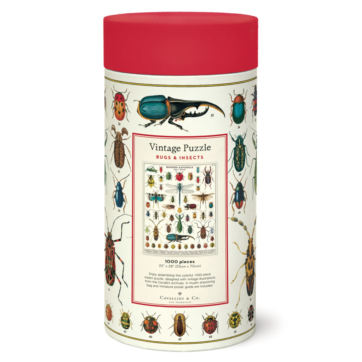 Puzzle Bugs & Insects