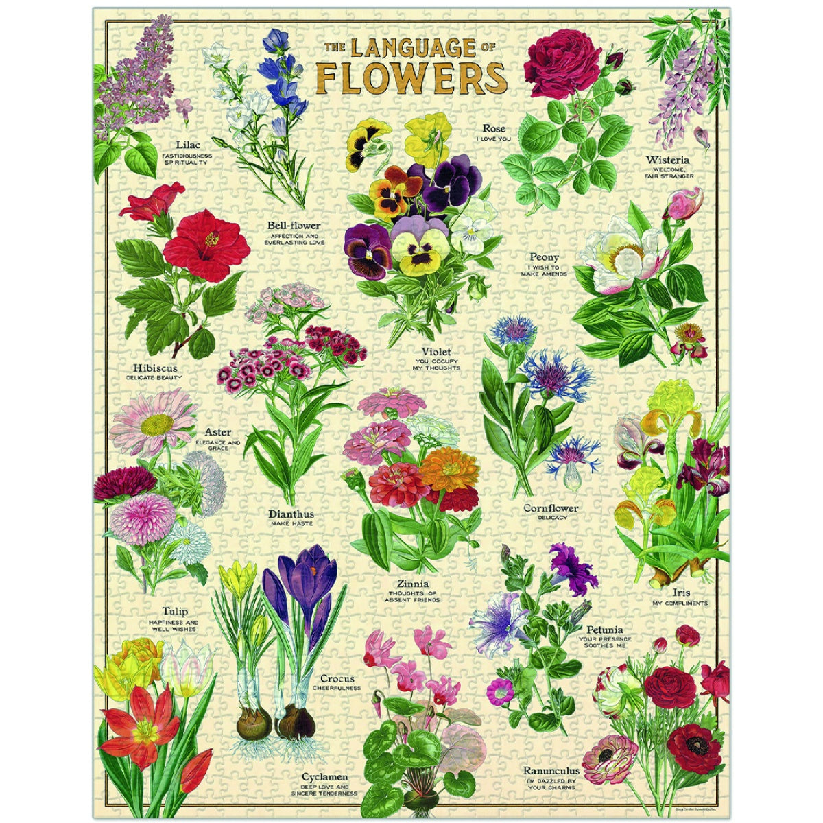 Puzzle lenguage of Flowers
