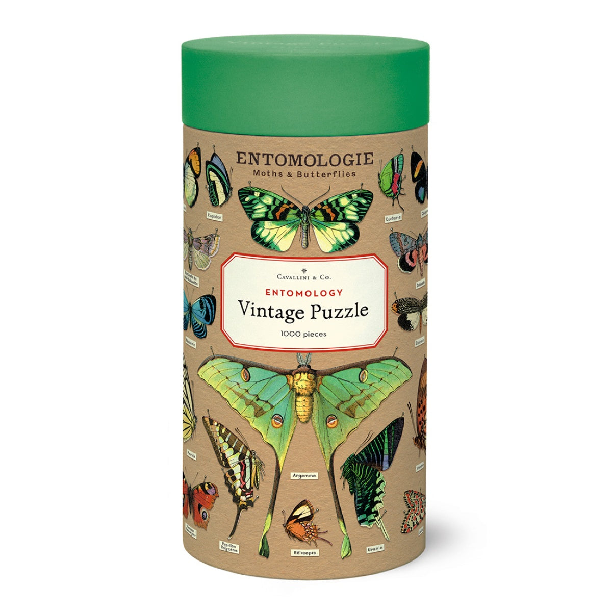 Puzzle Entomology