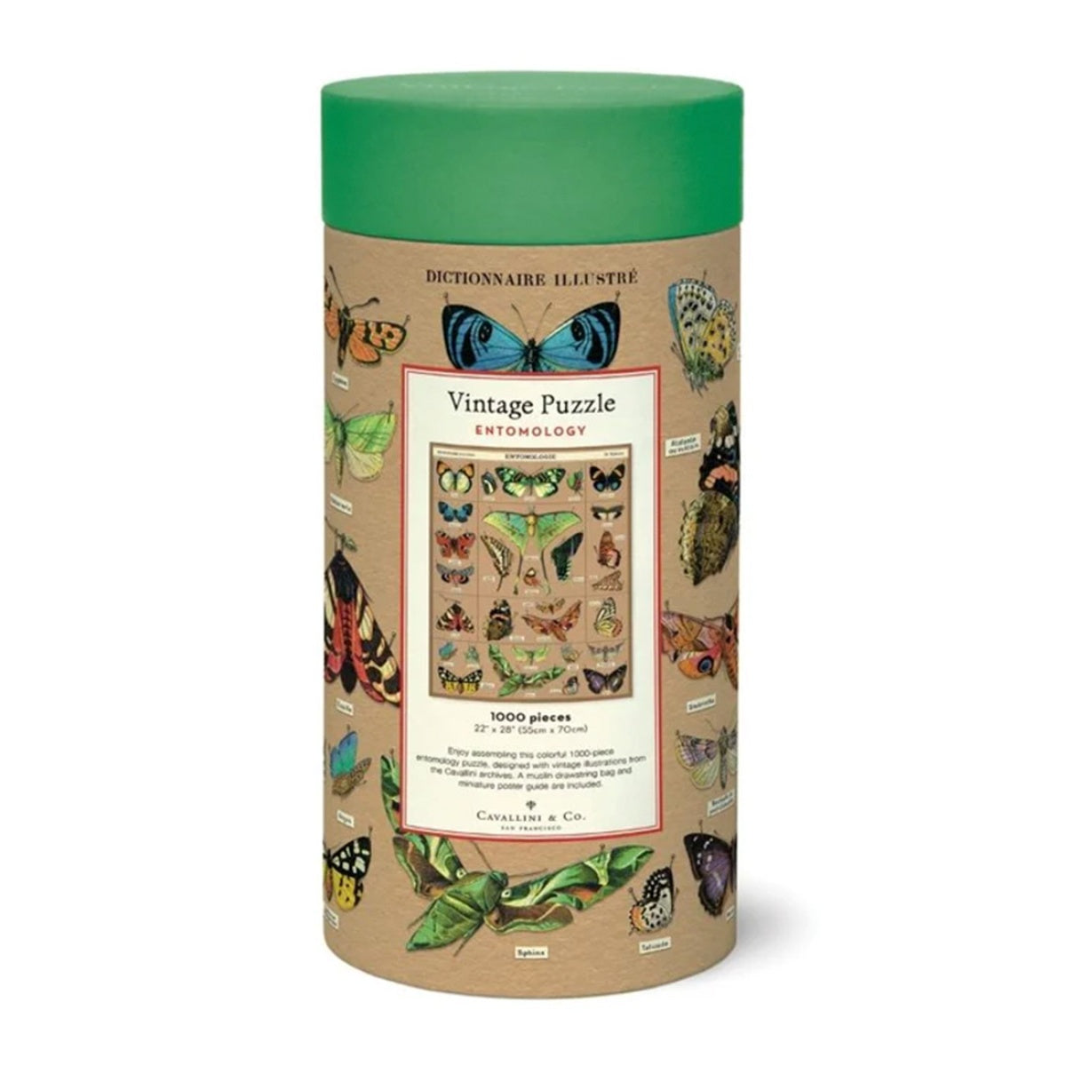 Puzzle Entomology
