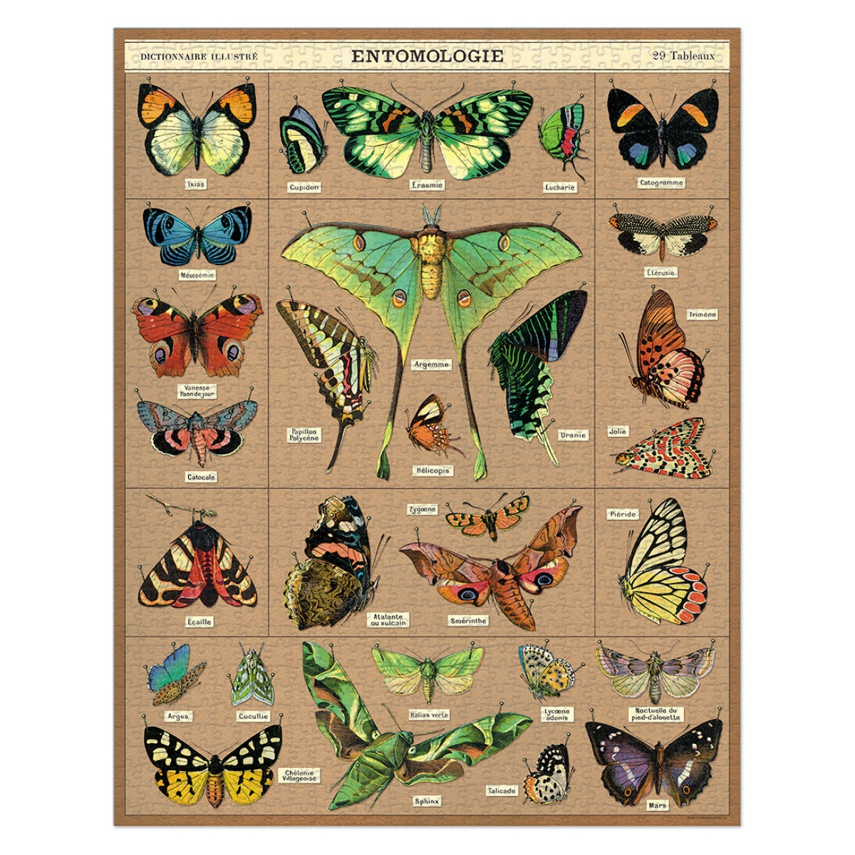 Puzzle Entomology