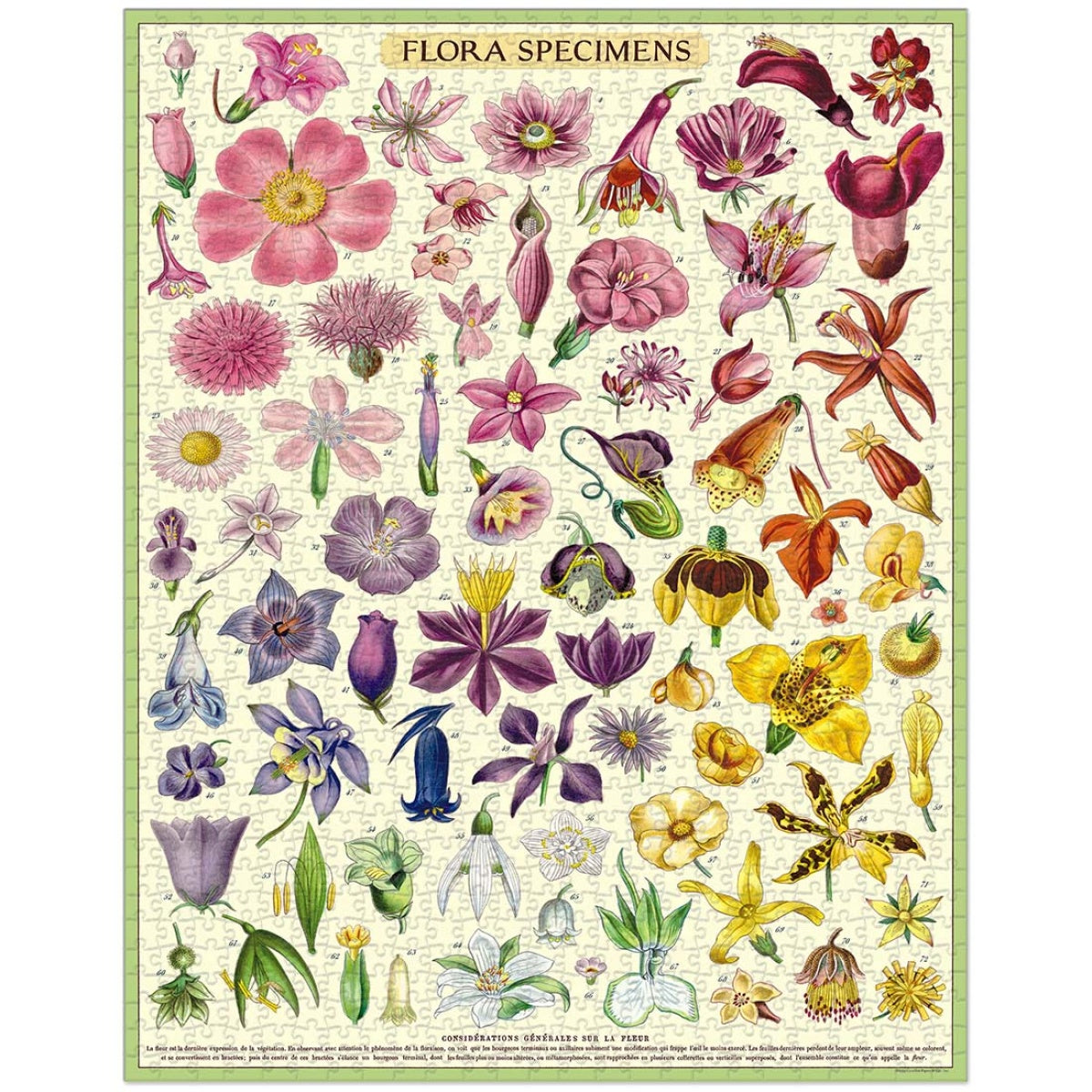 Puzzle Flora Specimens