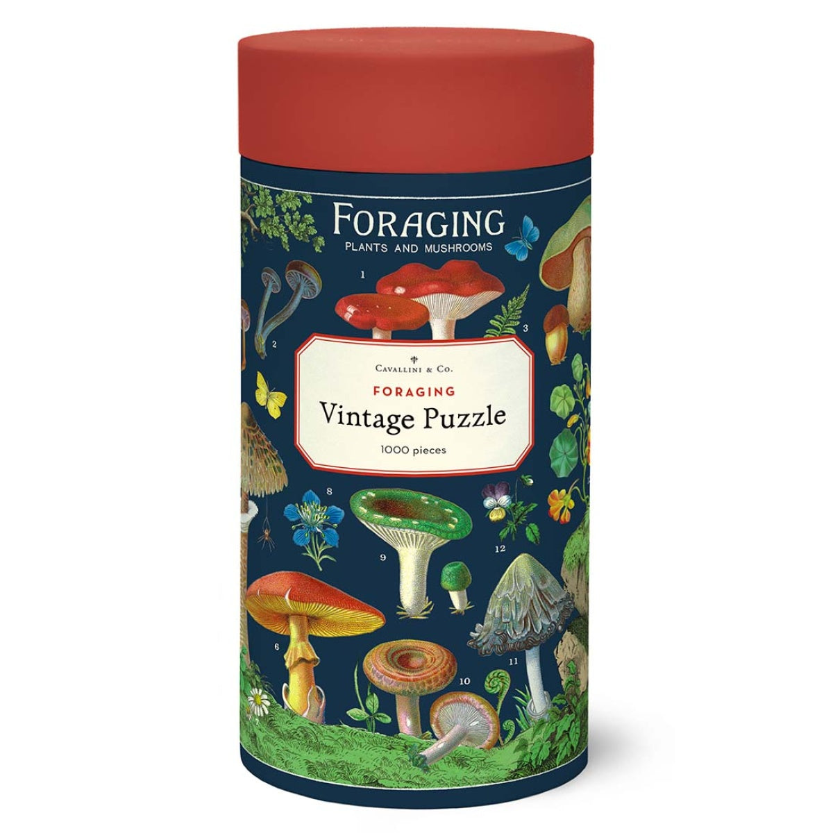 Puzzle Foraging