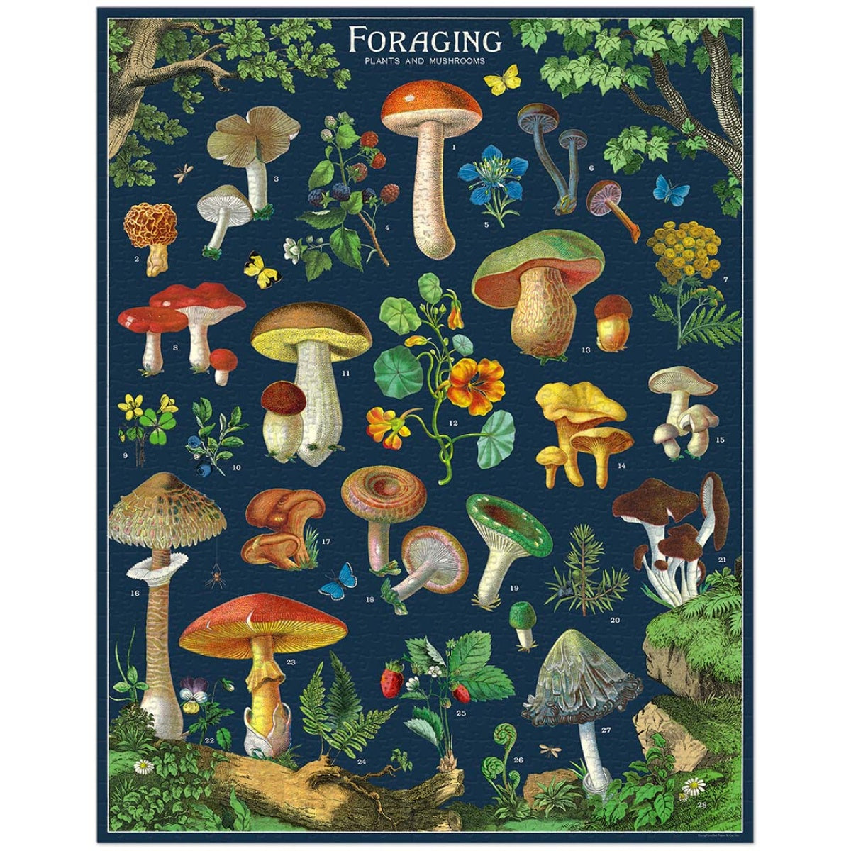 Puzzle Foraging