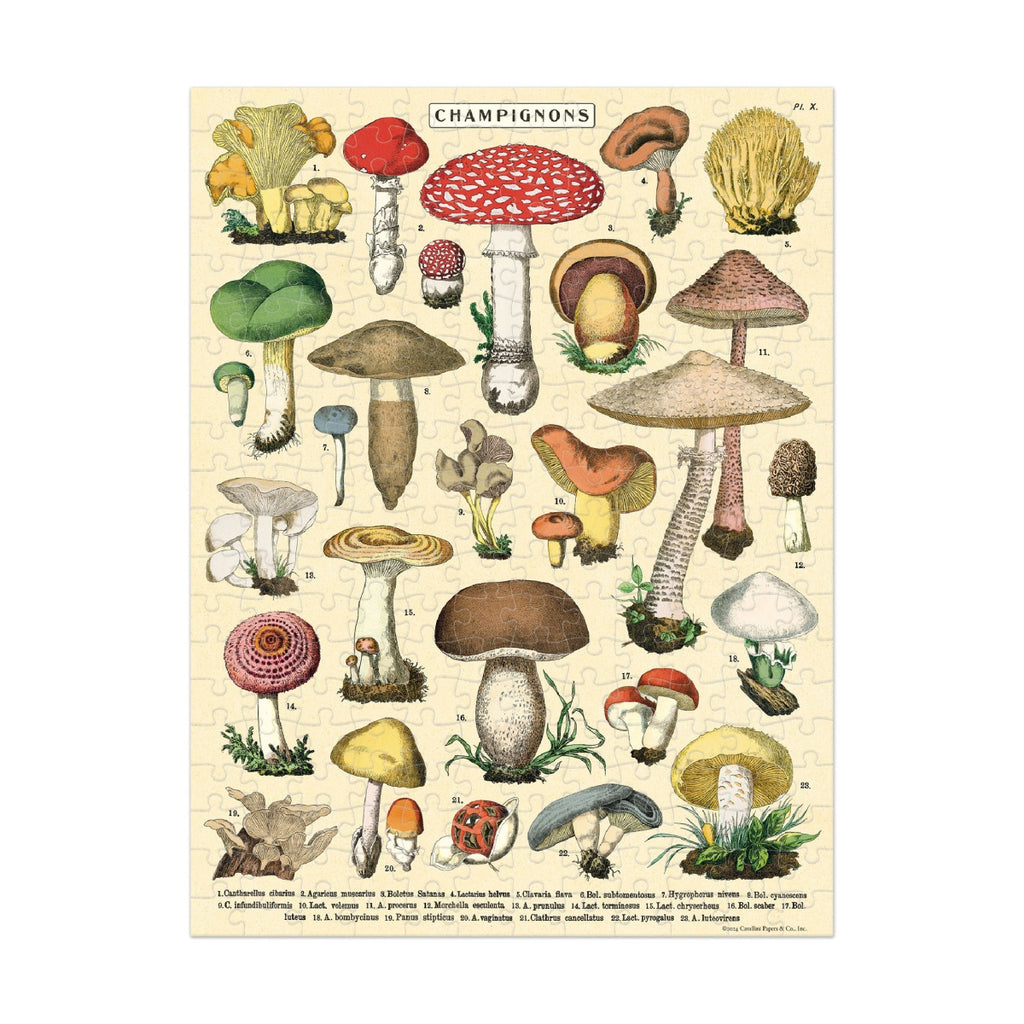 Puzzle Mushrooms mini