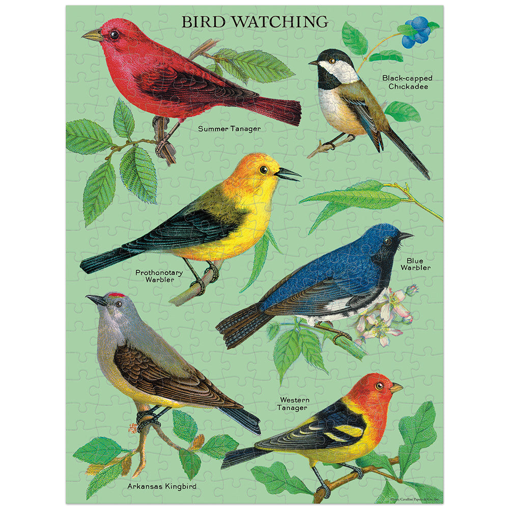 Puzzle mini Cavallini Bird Watching 240 piezas
