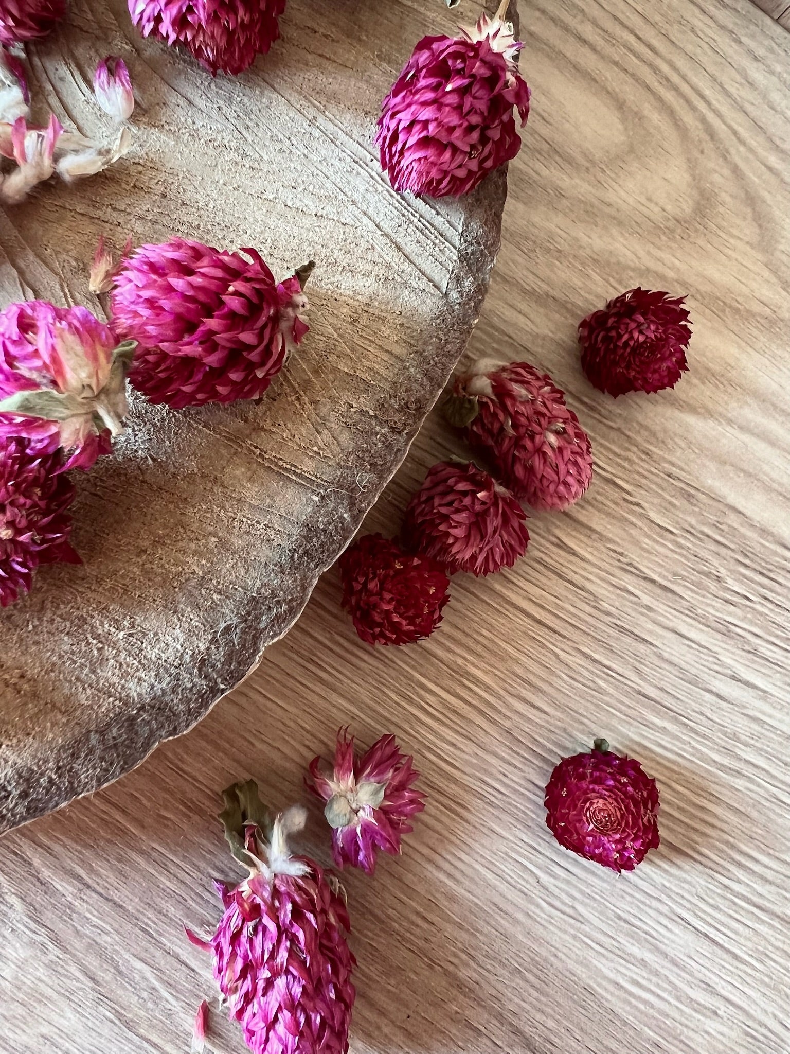 Baies dera Glaça "Bayas del hielo"