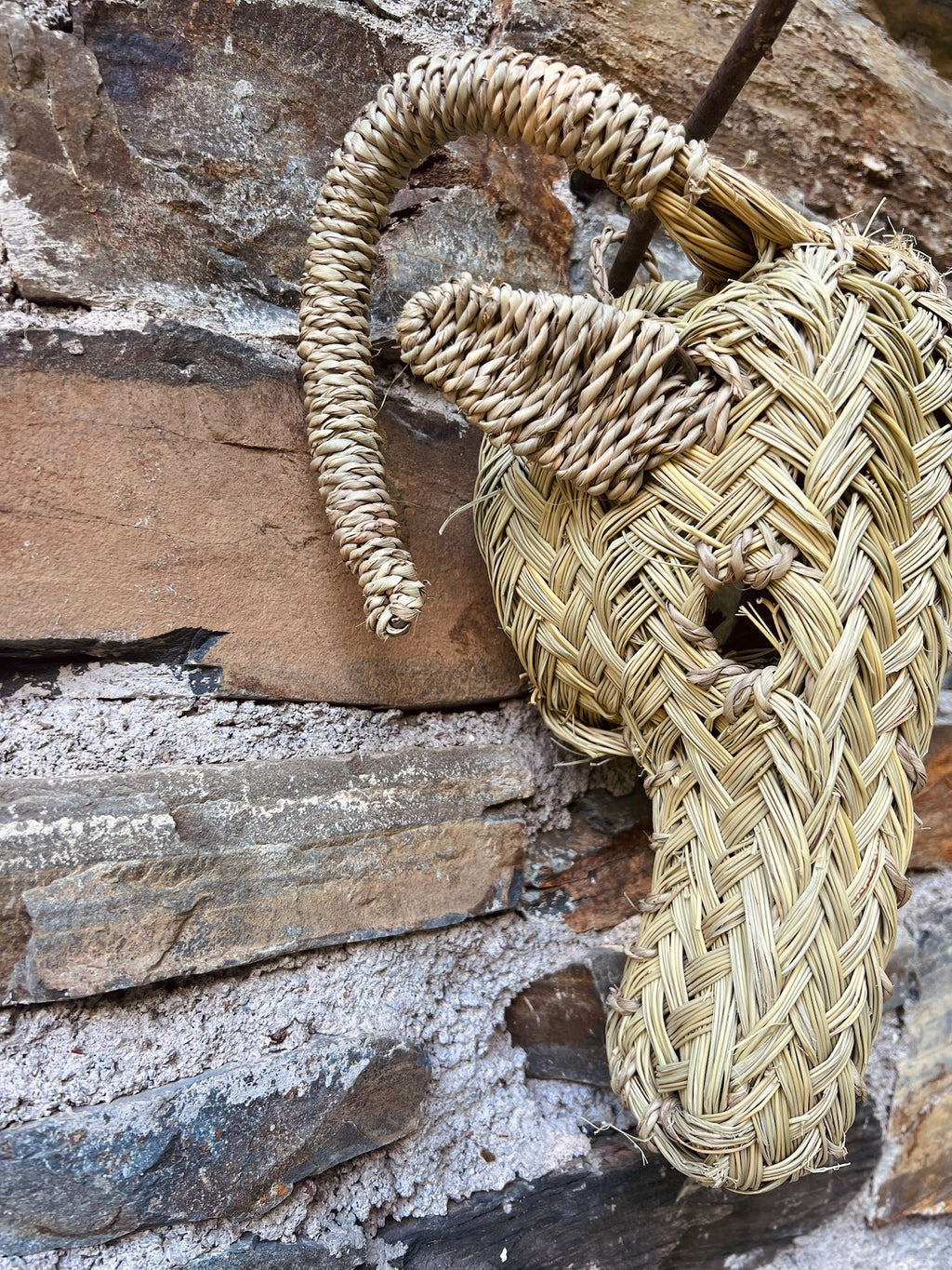 Marranèta dera tèrra