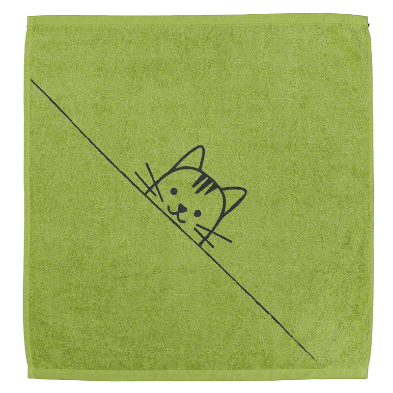Gato paño de cocina