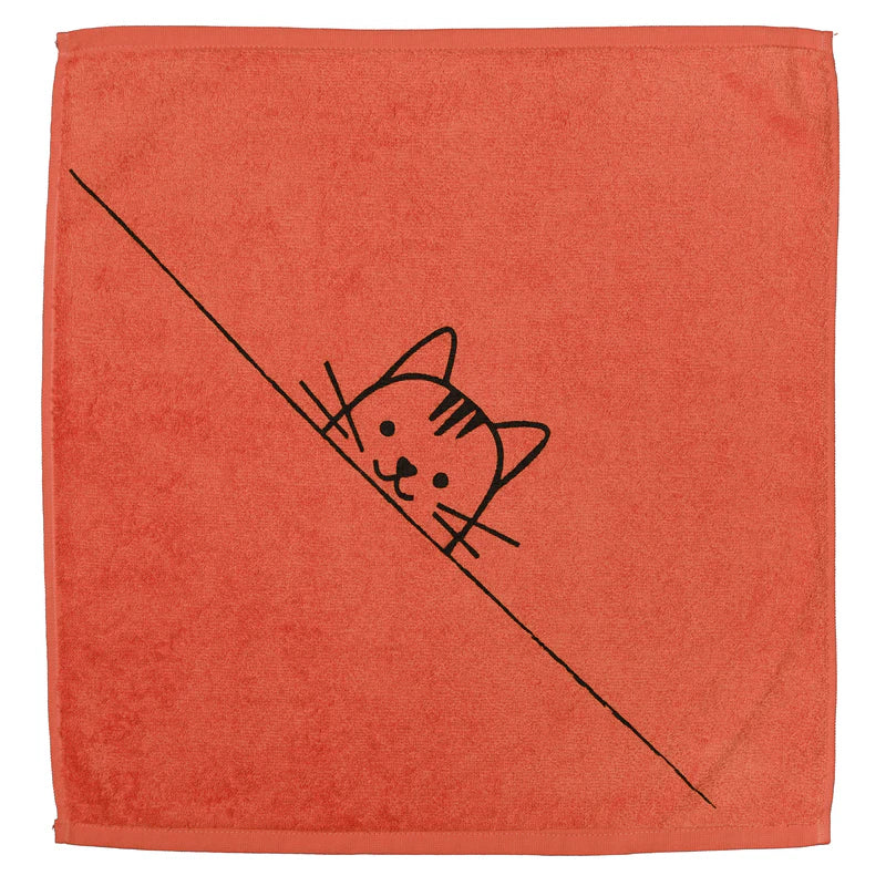 Gato paño de cocina