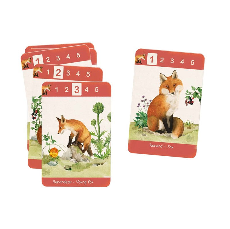 Juego de 7 familias El Jardín