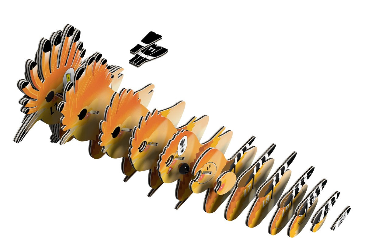 105 Hoopoe