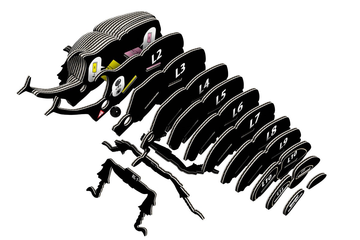 Puzzle 3D 113 Rhino Beetle