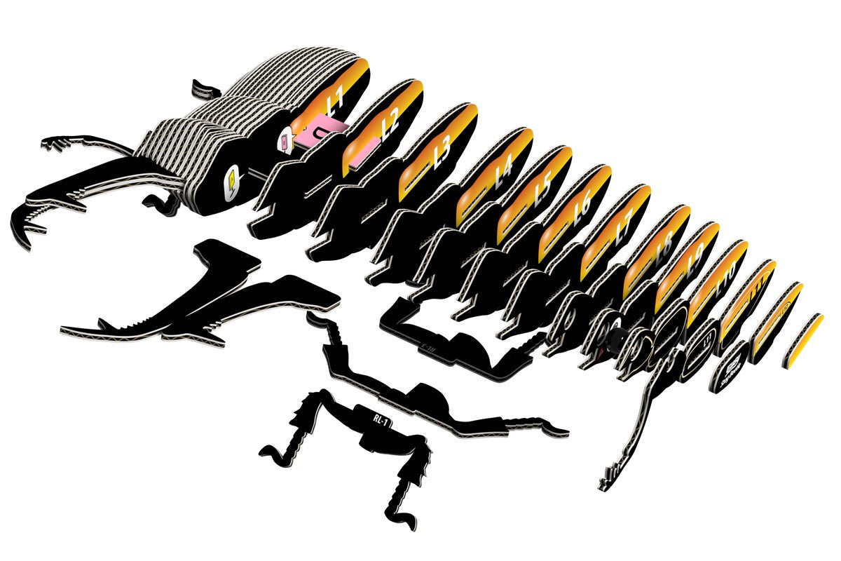 Puzzle 3D 114 Stag Beetle