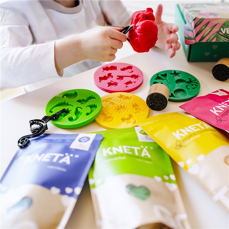 Moule en Silicone Kneta – Animaux du Zoo 🦁🐘