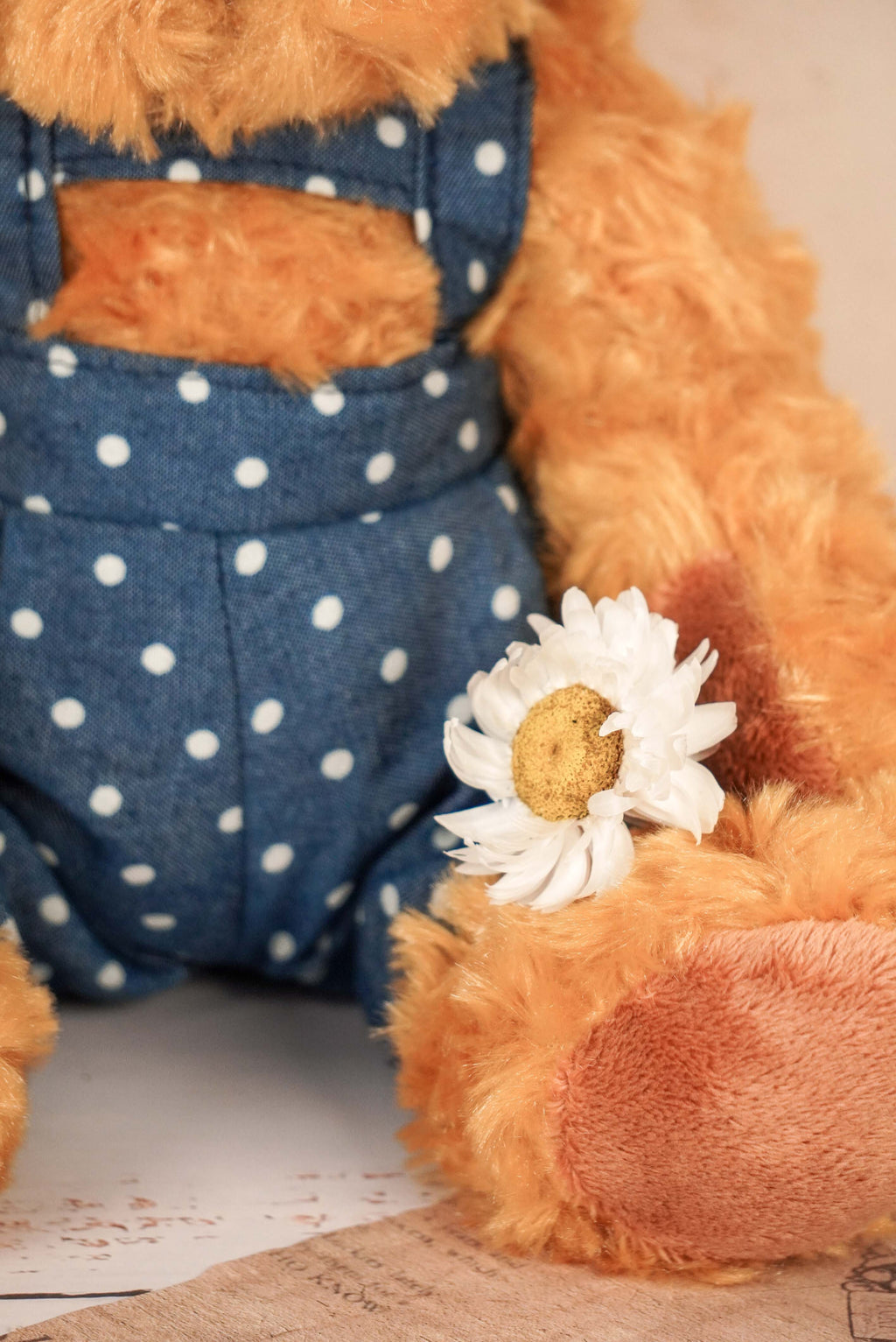 Oso de Peluche Niño