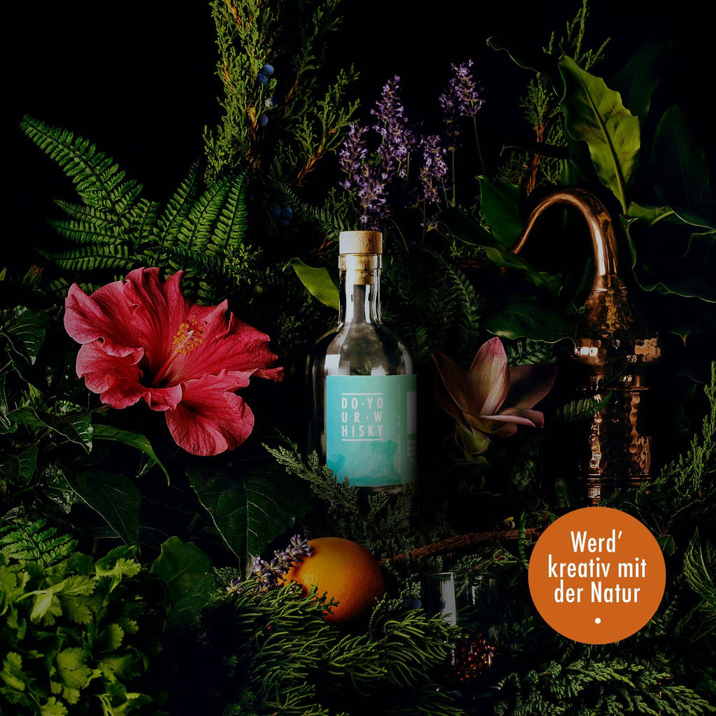 DO YOUR WHISKY – Kit para Crear tu Propio Whisky 🥃✨