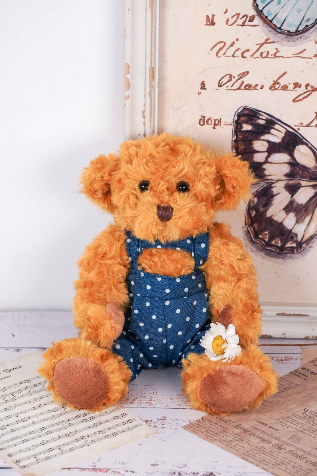 Oso de Peluche Niño