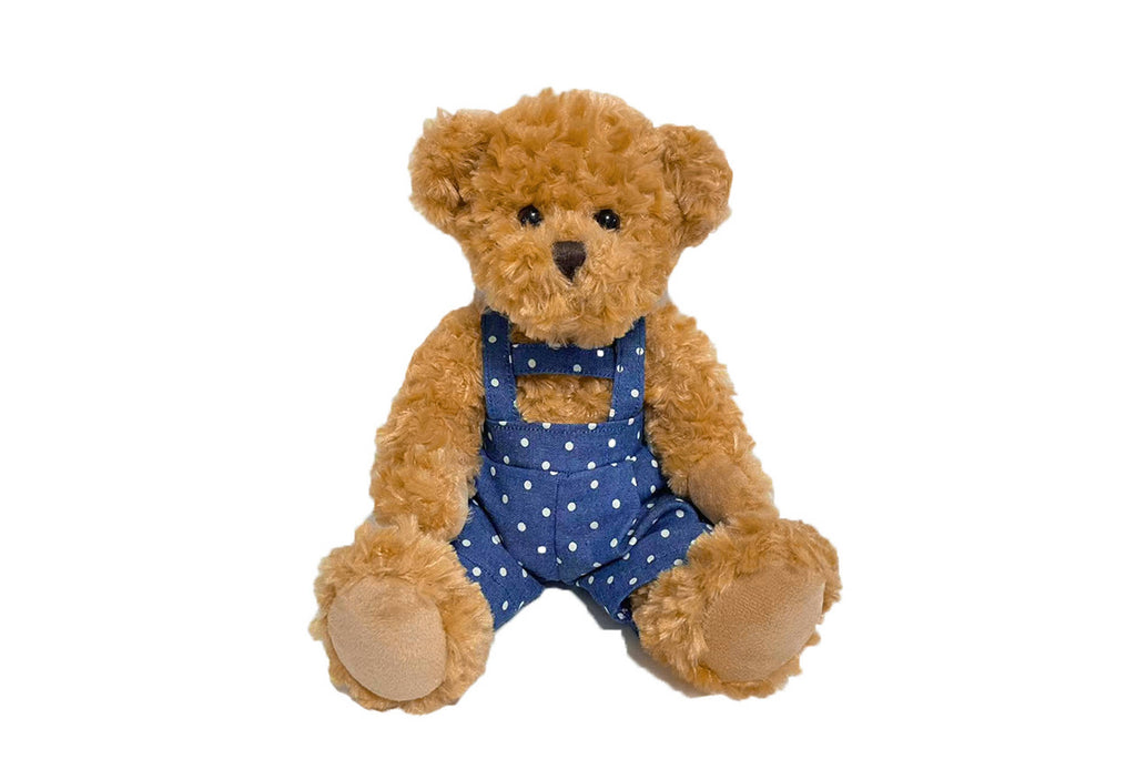 Oso de Peluche Niño
